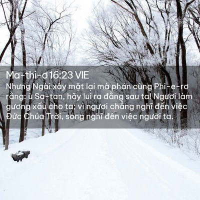 Picture 02 - Ma-thi-ơ 16:23 VIE - Nhưng Ngài xây mặt lại mà phán cùng - Bible Verse Picture