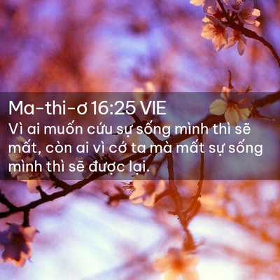 Picture 02 - Ma-thi-ơ 16:25 VIE - Vì ai muốn cứu sự sống mình thì sẽ - Bible Verse Picture