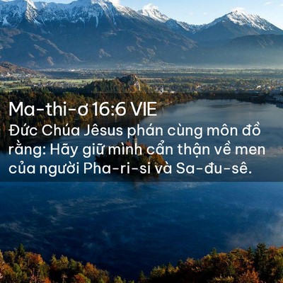 Picture 02 - Ma-thi-ơ 16:6 VIE - Đức Chúa Jêsus phán cùng môn đồ - Bible Verse Picture