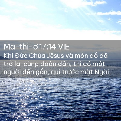 Picture 02 - Ma-thi-ơ 17:14 VIE - Khi Đức Chúa Jêsus và môn đồ đã trở - Bible Verse Picture