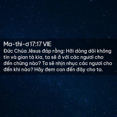 Picture 02 - Ma-thi-ơ 17:17 VIE - Đức Chúa Jêsus đáp rằng: Hỡi dòng - Bible Verse Picture