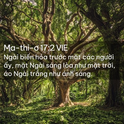 Picture 02 - Ma-thi-ơ 17:2 VIE - Ngài biến hóa trước mặt các người - Bible Verse Picture
