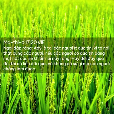 Picture 02 - Ma-thi-ơ 17:20 VIE - Ngài đáp rằng: Aáy là tại các ngươi - Bible Verse Picture