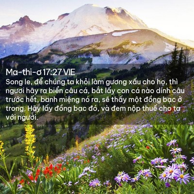Picture 02 - Ma-thi-ơ 17:27 VIE - Song le, để chúng ta khỏi làm gương - Bible Verse Picture