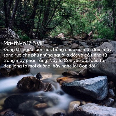 Picture 02 - Ma-thi-ơ 17:5 VIE - Đang khi người còn nói, bỗng chúc có - Bible Verse Picture