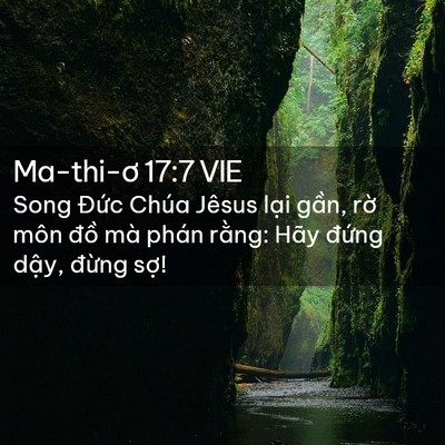 Picture 02 - Ma-thi-ơ 17:7 VIE - Song Đức Chúa Jêsus lại gần, rờ môn - Bible Verse Picture