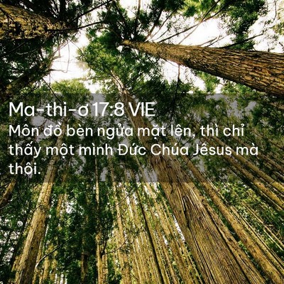 Picture 02 - Ma-thi-ơ 17:8 VIE - Môn đồ bèn ngửa mặt lên, thì chỉ - Bible Verse Picture