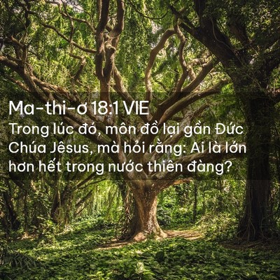 Picture 02 - Ma-thi-ơ 18:1 VIE - Trong lúc đó, môn đồ lại gần Đức - Bible Verse Picture