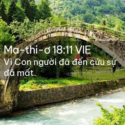 Picture 02 - Ma-thi-ơ 18:11 VIE - Vì Con người đã đến cứu sự đã - Bible Verse Picture