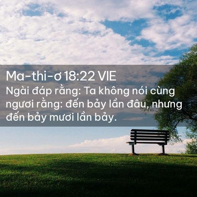 Picture 02 - Ma-thi-ơ 18:22 VIE - Ngài đáp rằng: Ta không nói cùng ngươi - Bible Verse Picture