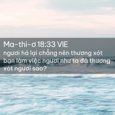 Picture 02 - Ma-thi-ơ 18:33 VIE - ngươi há lại chẳng nên thương xót - Bible Verse Picture