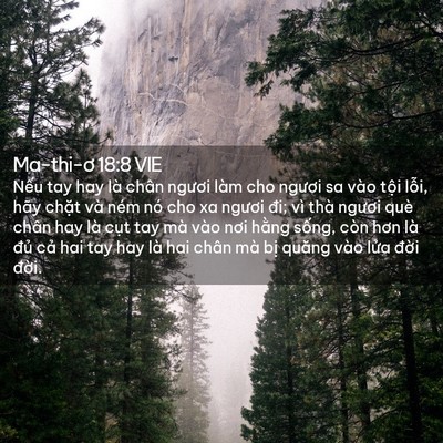 Picture 02 - Ma-thi-ơ 18:8 VIE - Nếu tay hay là chân ngươi làm cho ngươi - Bible Verse Picture