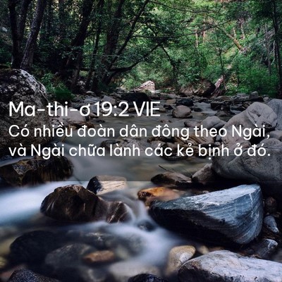 Picture 02 - Ma-thi-ơ 19:2 VIE - Có nhiều đoàn dân đông theo Ngài, và - Bible Verse Picture