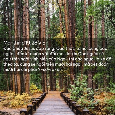 Picture 02 - Ma-thi-ơ 19:28 VIE - Đức Chúa Jêsus đáp rằng: Quả thật, - Bible Verse Picture