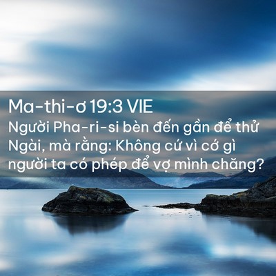 Picture 02 - Ma-thi-ơ 19:3 VIE - Người Pha-ri-si bèn đến gần để thử - Bible Verse Picture