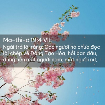 Picture 02 - Ma-thi-ơ 19:4 VIE - Ngài trả lời rằng: Các ngươi há chưa - Bible Verse Picture