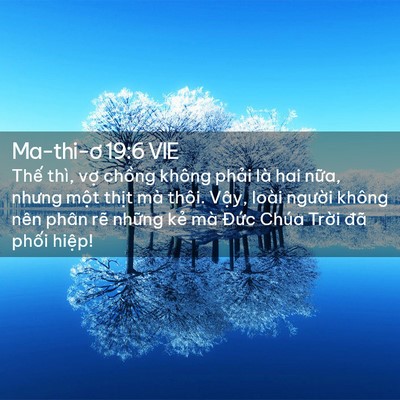 Picture 02 - Ma-thi-ơ 19:6 VIE - Thế thì, vợ chồng không phải là hai - Bible Verse Picture