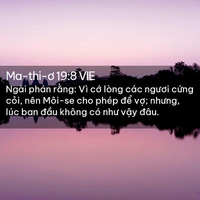 Picture 02 - Ma-thi-ơ 19:8 VIE - Ngài phán rằng: Vì cớ lòng các ngươi - Bible Verse Picture