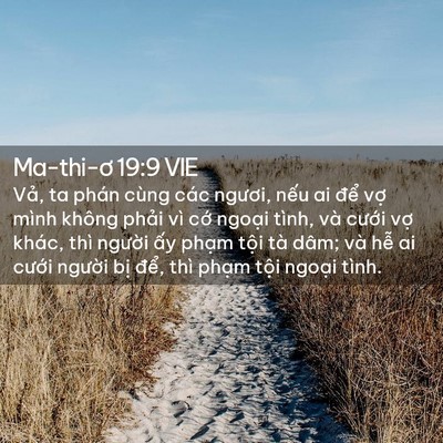 Picture 02 - Ma-thi-ơ 19:9 VIE - Vả, ta phán cùng các ngươi, nếu ai để - Bible Verse Picture