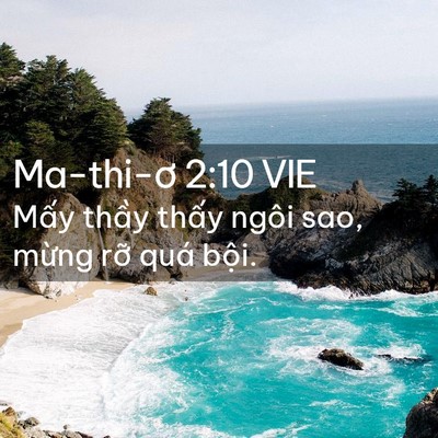 Picture 02 - Ma-thi-ơ 2:10 VIE - Mấy thầy thấy ngôi sao, mừng rỡ quá - Bible Verse Picture