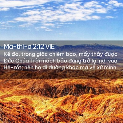 Picture 02 - Ma-thi-ơ 2:12 VIE - Kế đó, trong giấc chiêm bao, mấy thầy - Bible Verse Picture