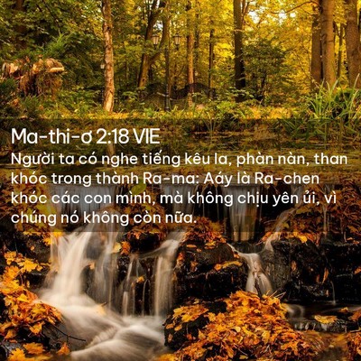 Picture 02 - Ma-thi-ơ 2:18 VIE - Người ta có nghe tiếng kêu la, phàn nàn, - Bible Verse Picture