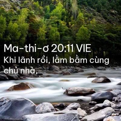 Picture 02 - Ma-thi-ơ 20:11 VIE - Khi lãnh rồi, lằm bằm cùng chủ - Bible Verse Picture