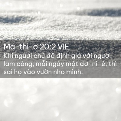 Picture 02 - Ma-thi-ơ 20:2 VIE - Khi người chủ đã định giá với - Bible Verse Picture