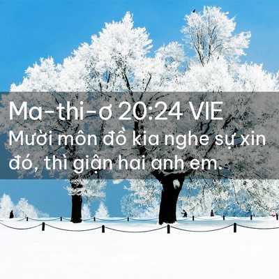 Picture 02 - Ma-thi-ơ 20:24 VIE - Mười môn đồ kia nghe sự xin đó, thì - Bible Verse Picture