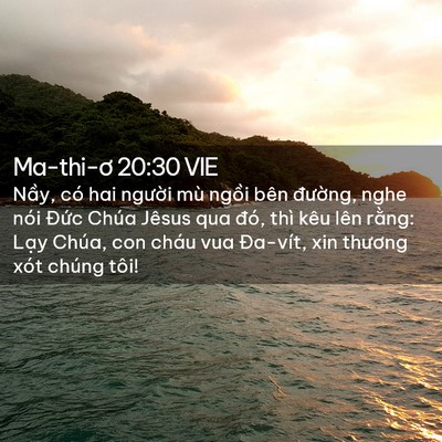 Picture 02 - Ma-thi-ơ 20:30 VIE - Nầy, có hai người mù ngồi bên - Bible Verse Picture