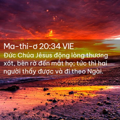 Picture 02 - Ma-thi-ơ 20:34 VIE - Đức Chúa Jêsus động lòng thương xót, - Bible Verse Picture