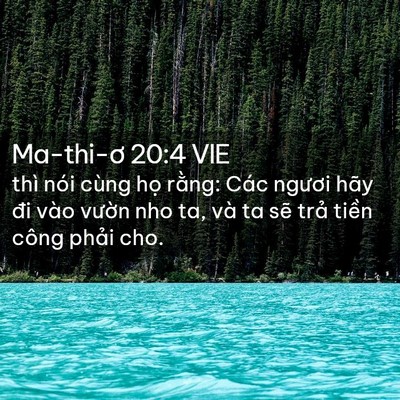 Picture 02 - Ma-thi-ơ 20:4 VIE - thì nói cùng họ rằng: Các ngươi hãy - Bible Verse Picture