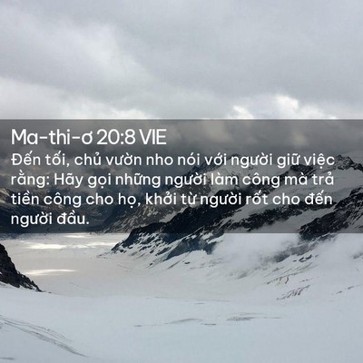 Picture 02 - Ma-thi-ơ 20:8 VIE - Đến tối, chủ vườn nho nói với - Bible Verse Picture