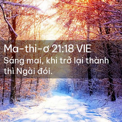 Picture 02 - Ma-thi-ơ 21:18 VIE - Sáng mai, khi trở lại thành thì Ngài - Bible Verse Picture