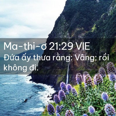 Picture 02 - Ma-thi-ơ 21:29 VIE - Đứa ấy thưa rằng: Vâng; rồi không - Bible Verse Picture