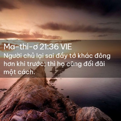 Picture 02 - Ma-thi-ơ 21:36 VIE - Người chủ lại sai đầy tớ khác đông - Bible Verse Picture