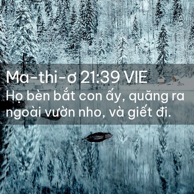 Picture 02 - Ma-thi-ơ 21:39 VIE - Họ bèn bắt con ấy, quăng ra ngoài - Bible Verse Picture