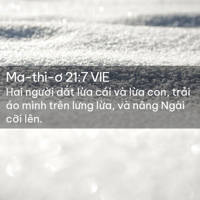 Picture 02 - Ma-thi-ơ 21:7 VIE - Hai người dắt lừa cái và lừa con, - Bible Verse Picture