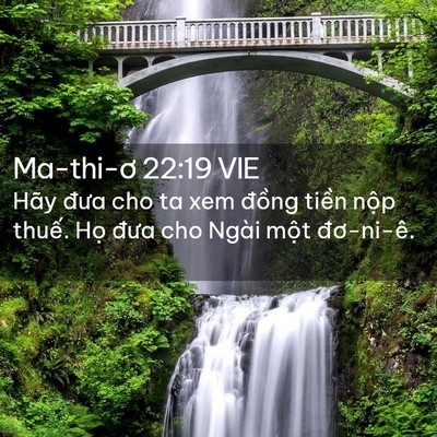 Picture 02 - Ma-thi-ơ 22:19 VIE - Hãy đưa cho ta xem đồng tiền nộp - Bible Verse Picture