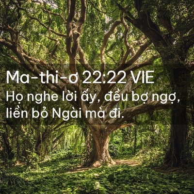 Picture 02 - Ma-thi-ơ 22:22 VIE - Họ nghe lời ấy, đều bợ ngợ, liền - Bible Verse Picture