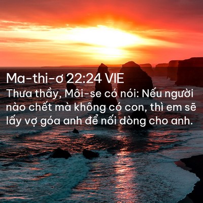 Picture 02 - Ma-thi-ơ 22:24 VIE - Thưa thầy, Môi-se có nói: Nếu người - Bible Verse Picture