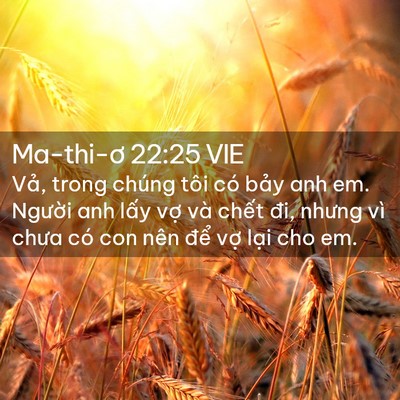 Picture 02 - Ma-thi-ơ 22:25 VIE - Vả, trong chúng tôi có bảy anh em. - Bible Verse Picture