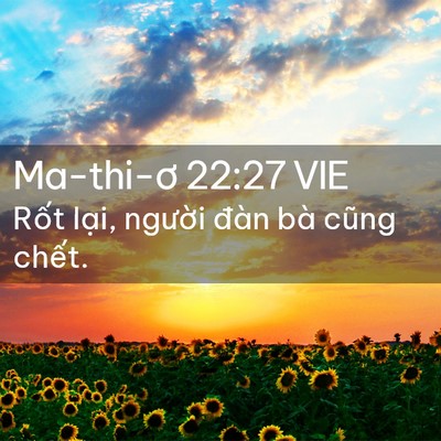 Picture 02 - Ma-thi-ơ 22:27 VIE - Rốt lại, người đàn bà cũng - Bible Verse Picture