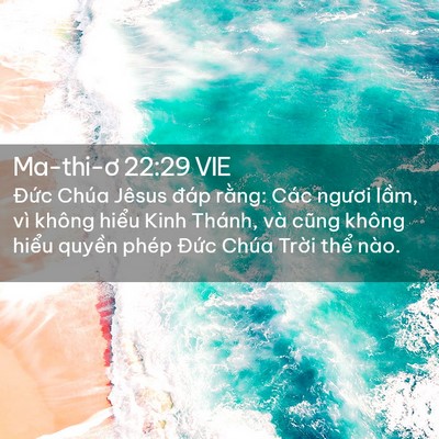 Picture 02 - Ma-thi-ơ 22:29 VIE - Đức Chúa Jêsus đáp rằng: Các ngươi - Bible Verse Picture