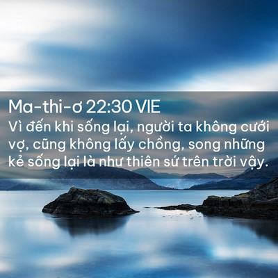 Picture 02 - Ma-thi-ơ 22:30 VIE - Vì đến khi sống lại, người ta không - Bible Verse Picture