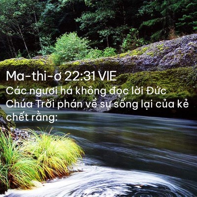 Picture 02 - Ma-thi-ơ 22:31 VIE - Các ngươi há không đọc lời Đức Chúa - Bible Verse Picture