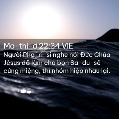 Picture 02 - Ma-thi-ơ 22:34 VIE - Người Pha-ri-si nghe nói Đức Chúa Jêsus - Bible Verse Picture