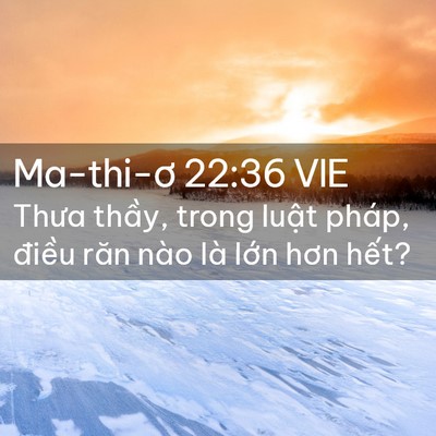 Picture 02 - Ma-thi-ơ 22:36 VIE - Thưa thầy, trong luật pháp, điều răn - Bible Verse Picture