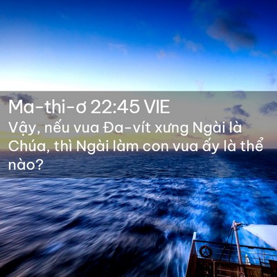 Picture 02 - Ma-thi-ơ 22:45 VIE - Vậy, nếu vua Đa-vít xưng Ngài là Chúa, - Bible Verse Picture