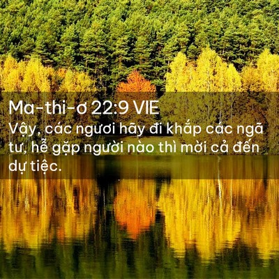 Picture 02 - Ma-thi-ơ 22:9 VIE - Vậy, các ngươi hãy đi khắp các ngã - Bible Verse Picture
